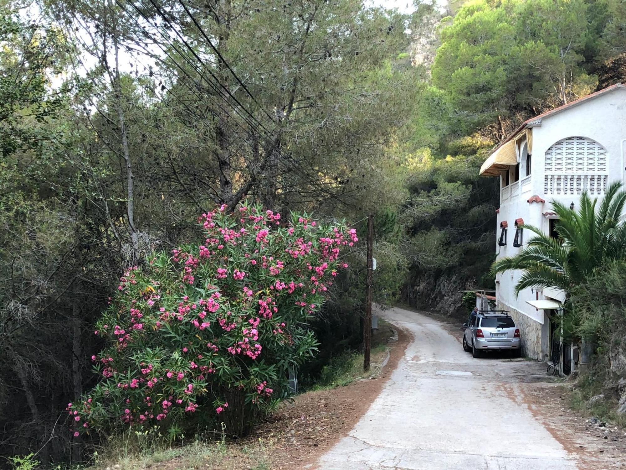 Almisera Villa Almiserat Eksteriør bilde